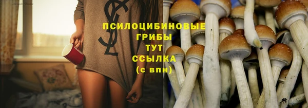 шишки Аркадак