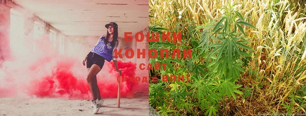 молекула духа Няндома