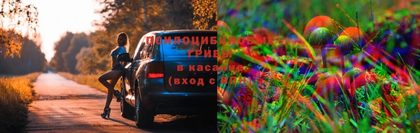 a pvp Армянск