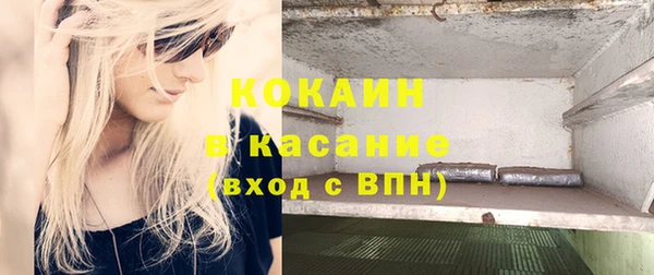 шишки Аркадак