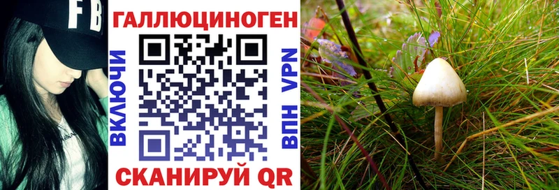 Галлюциногенные грибы мухоморы  Купить  Верхний Тагил 