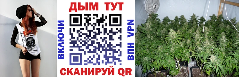 Купить где  Верхний Тагил  Шишки марихуана AK-47 